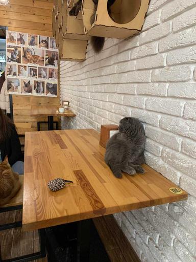 Коммерческая недвижимость по адресу Франко Ивана ул. (площадь 138 м²) - Atlanta.ua - фото 16