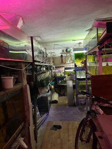 Коммерческая недвижимость по адресу ул. Гродненская (площадь 100 м²) - Atlanta.ua - фото 17