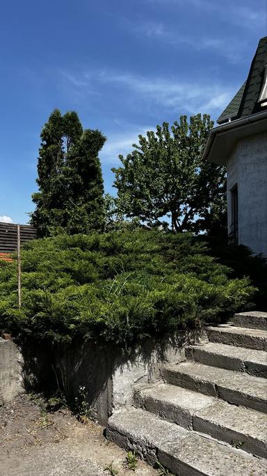 House by the address (area 600 m²) - Atlanta.ua - photo 21