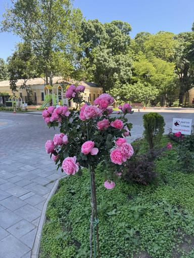 2-комнатная квартира по адресу Куликово поле пл. (площадь 68 м²) - Atlanta.ua - фото 26