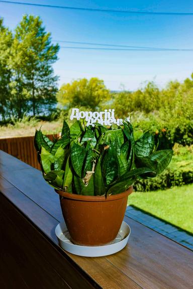 Дом по адресу ул. Заречная (площадь 260 м²) - Atlanta.ua - фото 31