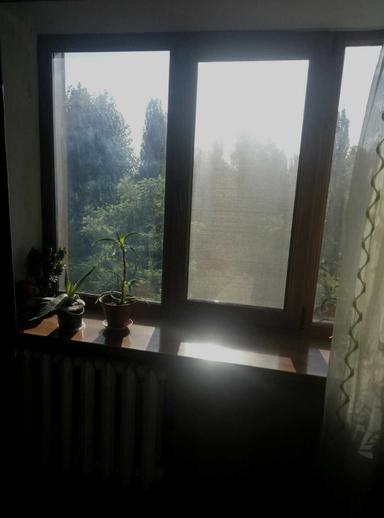 2-комнатная квартира по адресу ул. Ильенка Юрия (площадь 46,2 м²) - Atlanta.ua - фото 34