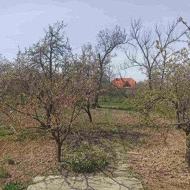 House by the address st. Magistratskaya (area 122 m²) - Atlanta.ua - photo 29