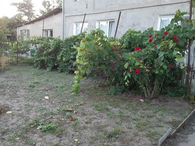 House by the address st. Fruktovaya (area 228 m²) - Atlanta.ua - photo 23