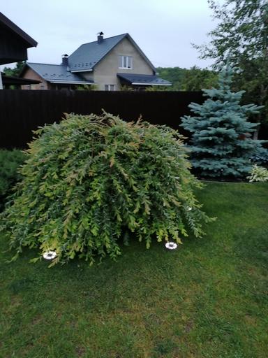 Дом по адресу ул. Магистратская (площадь 130 м²) - Atlanta.ua - фото 45