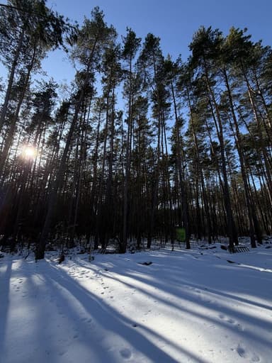 Дом по адресу (площадь 110 м²) - Atlanta.ua - фото 29