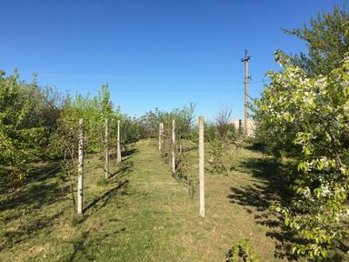 Дом по адресу ул. Победы (площадь 112 м²) - Atlanta.ua - фото 33