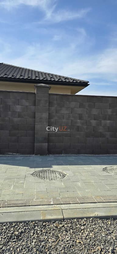 Дом по адресу Петефі Шандора пл. (площадь 200 м²) - Atlanta.ua - фото 24