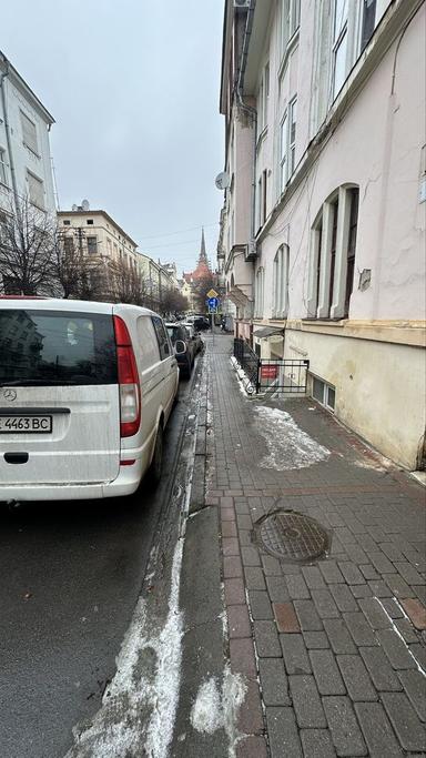 Комерційна нерухомість за адресою вул. Руснаків Братів (площа 31 м²) - Atlanta.ua - фото 17