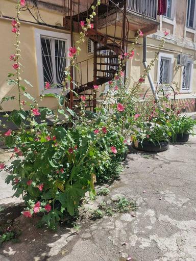 2-комнатная квартира по адресу Куликово поле пл. (площадь 88 м²) - Atlanta.ua - фото 33