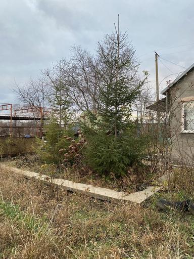 Будинок за адресою (площа 45 м²) - Atlanta.ua - фото 9