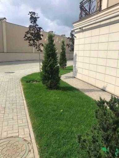 1-комнатная квартира по адресу ул. Спортивная (площадь 41,2 м²) - Atlanta.ua - фото 23