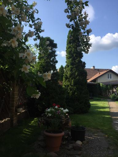 Дом по адресу ул. Васильковская (площадь 170 м²) - Atlanta.ua - фото 37