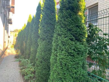 Дом по адресу ул. Шкиперская (площадь 145,8 м²) - Atlanta.ua - фото 23