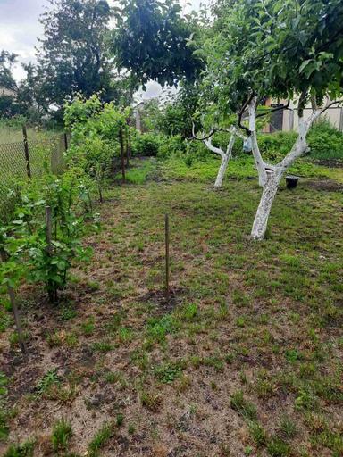 Будинок за адресою (площа 100 м²) - Atlanta.ua - фото 13