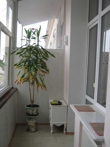 3-кімнатна квартира за адресою Куликове поле пл. (площа 85 м²) - Atlanta.ua - фото 15