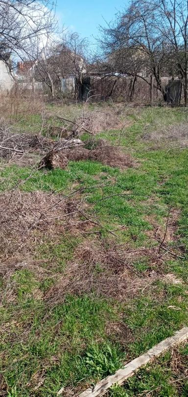 Будинок за адресою Люстдорфська дор. (площа 70 м²) - Atlanta.ua - фото 10