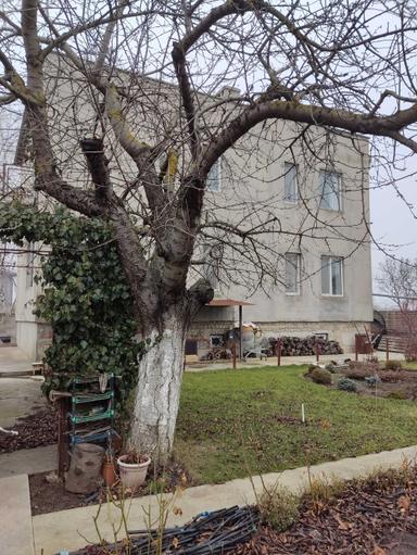 House by the address st. Molodezhnaya (area 216 m²) - Atlanta.ua - photo 13