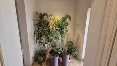 House by the address st. Primorskaya (area 151 m²) - Atlanta.ua - photo 36