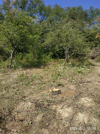 Дом по адресу ул. Капеланська (площадь 24 м²) - Atlanta.ua - фото 14