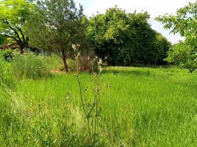 House by the address st. Tankistov (area 50 m²) - Atlanta.ua - photo 19