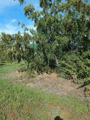 House by the address (area 298 m²) - Atlanta.ua - photo 28