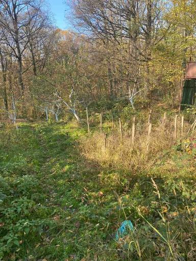 Дом по адресу (площадь 70 м²) - Atlanta.ua - фото 28