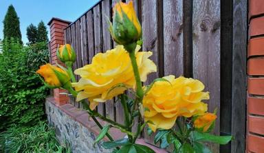 2-комнатная квартира по адресу ул. Васильковская (площадь 60 м²) - Atlanta.ua - фото 36