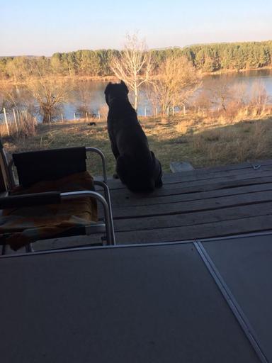 Дом по адресу ул. Магистратская (площадь 160 м²) - Atlanta.ua - фото 25