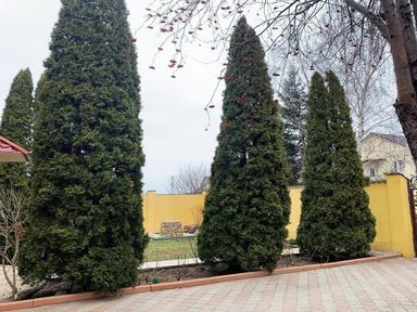 House by the address st. Kitoboynaya (area 217 m²) - Atlanta.ua - photo 37