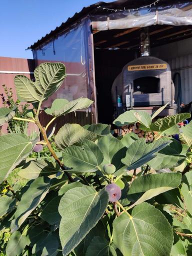 House by the address st. Kitoboynaya (area 95 m²) - Atlanta.ua - photo 36