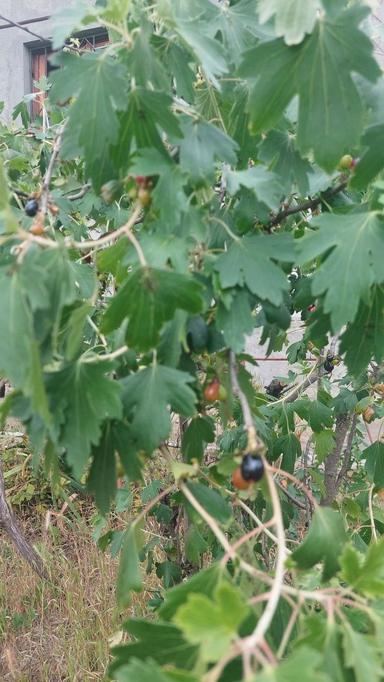 Будинок за адресою (площа 87 м²) - Atlanta.ua - фото 42