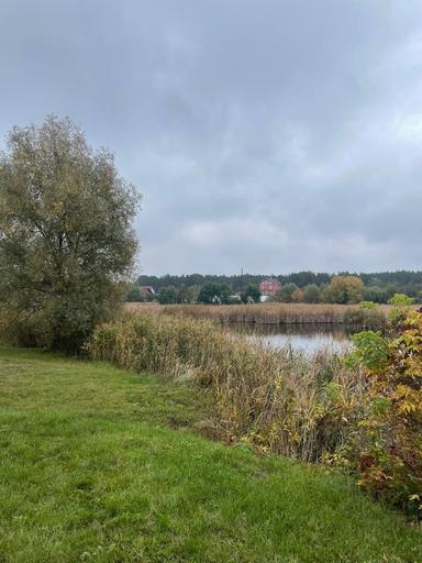 Commercial real estate at (area 720 m²) - Atlanta.ua - photo 42