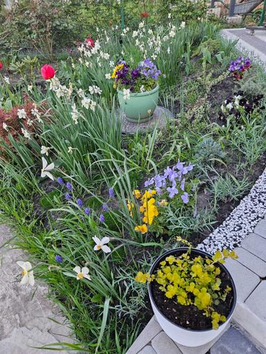 Дом по адресу (площадь 190 м²) - Atlanta.ua - фото 45