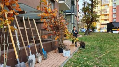 3-rooms apartment apartment by the address st. Anatoliya Petritskogo (area 93,7 m²) - Atlanta.ua - photo 30