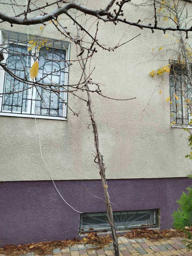 Дом по адресу ул. Приморская (площадь 176 м²) - Atlanta.ua - фото 42