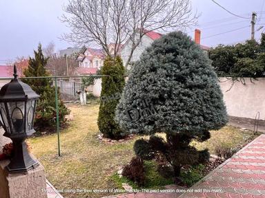 House by the address (area 290 m²) - Atlanta.ua - photo 22