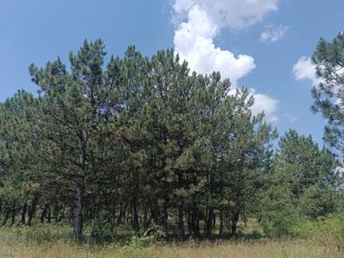 House by the address (area 48 m²) - Atlanta.ua - photo 19