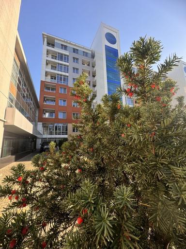 Многокомнатная квартира по адресу ул. Шолуденка (площадь 162 м²) - Atlanta.ua - фото 23