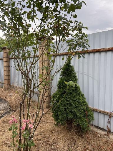 House by the address st. Ekonomichnaya Engelsa (area 110 m²) - Atlanta.ua - photo 27