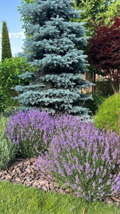 Дом по адресу ул. Спортивная (площадь 550 м²) - Atlanta.ua - фото 43