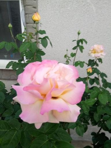 Будинок за адресою (площа 140 м²) - Atlanta.ua - фото 32