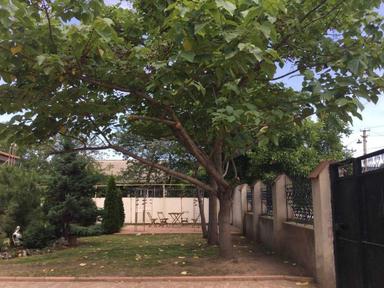 Дом по адресу (площадь 130 м²) - Atlanta.ua - фото 28