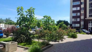 1-комнатная квартира по адресу ул. Проценко (площадь 38 м²) - Atlanta.ua - фото 16