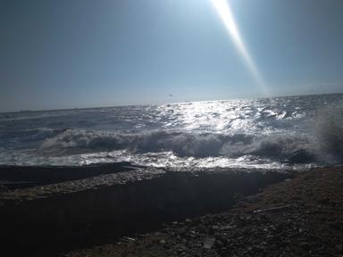 Дом по адресу ул. Приморская (площадь 54 м²) - Atlanta.ua - фото 47