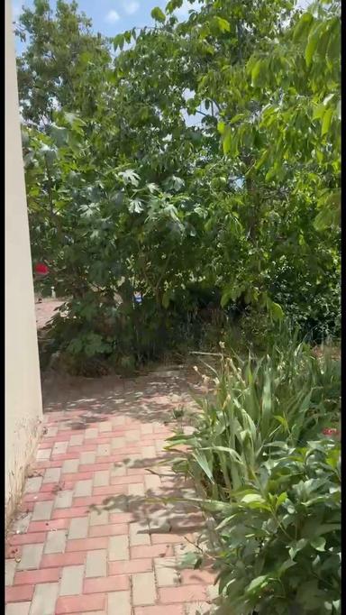 Будинок за адресою (площа 169 м²) - Atlanta.ua - фото 15