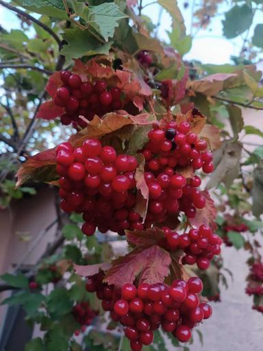 House by the address (area 80 m²) - Atlanta.ua - photo 20