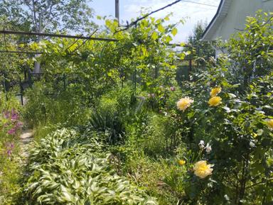 Дом по адресу ул. Добробутна (площадь 95 м²) - Atlanta.ua - фото 29