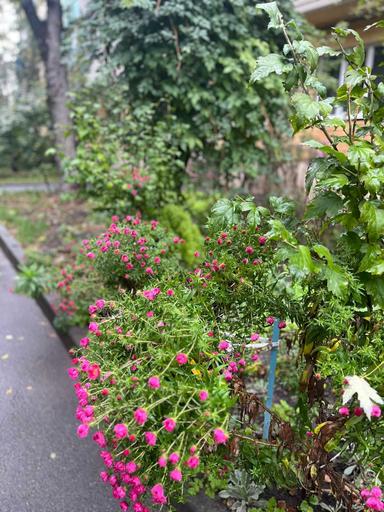 2-кімнатна квартира за адресою вул. Салютна (площа 46 м²) - Atlanta.ua - фото 32