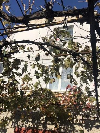 Дом по адресу ул. Мира(Ленина) (площадь 168 м²) - Atlanta.ua - фото 17